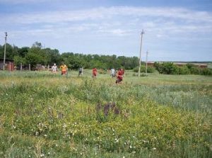 12zap6m.jpg