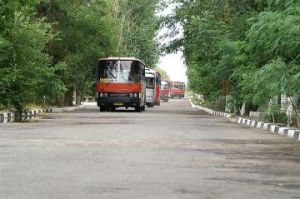 PICT8466m.jpg