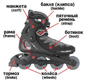 0001 2830.jpg