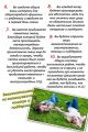 Миниатюра для версии от 13:40, 25 июня 2026