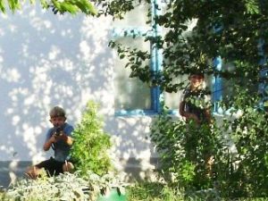 Img3 12235m.jpg