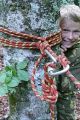 Миниатюра для версии от 12:34, 25 июня 2026