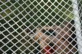 Миниатюра для версии от 12:32, 25 июня 2026